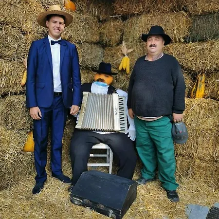 Sepsi Relax Sfantu Gheorghe (Covasna)