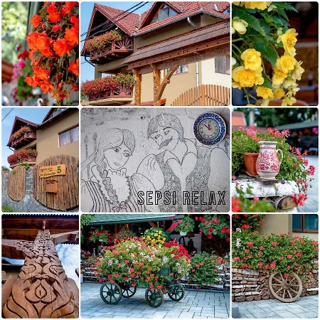 Guest house Sepsi Relax *