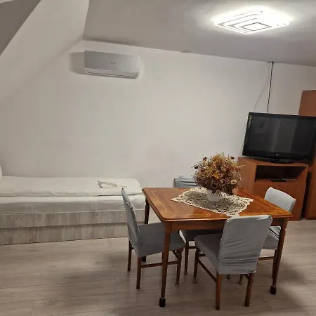 Guest house Sepsi Relax *